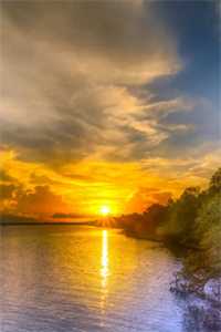 妙手国医：师姐，你太凶了