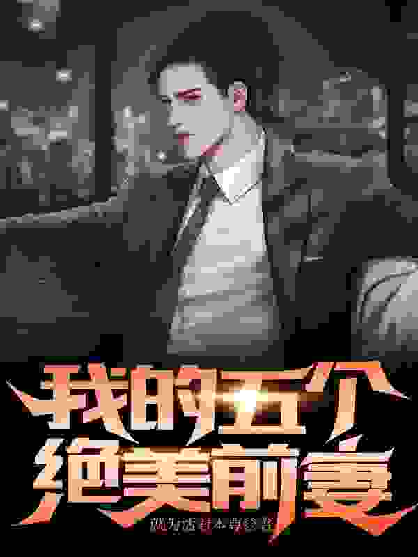 我的五个绝美前妻小说阅读，我的五个绝美前妻完整版