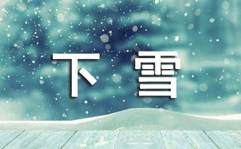 下雪了日记