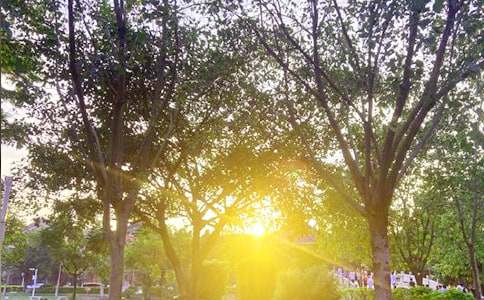 2025年简洁的温馨的早安心语语录33句