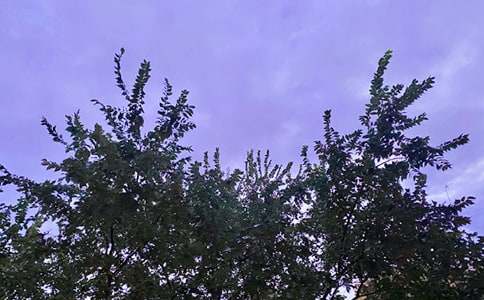 推荐唯美早安文案140句精选