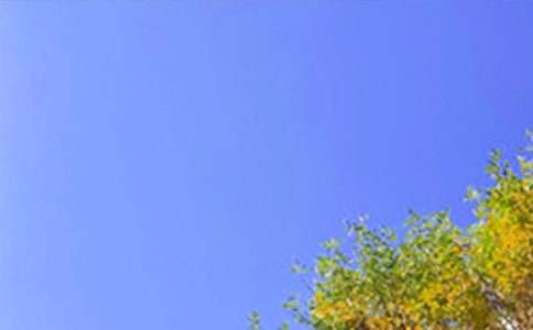 【实用】2025年真诚温暖的早安心语语录40句