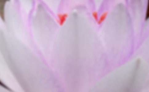 描写夏至古风唯美的句子(精选200句)