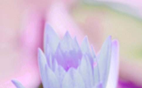 夏至祝福语朋友圈（精选500句）