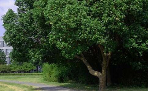 【精华】真诚的早安心语朋友圈集锦53条