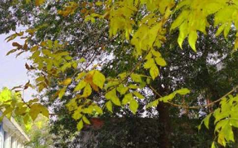 2025年简短的真诚的早安心语朋友圈汇编51条