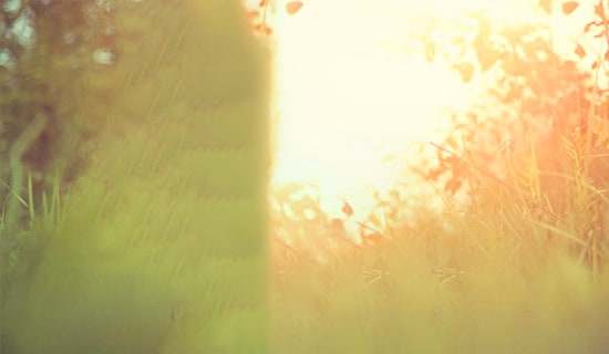 简洁的唯美古风句子汇编75句