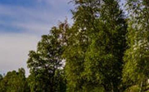 有关风景优美句子摘录48句