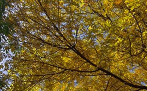 简短唯美早安文案大全(精选170句)