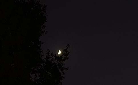 推荐唯美晚安句子大全（精选130句）