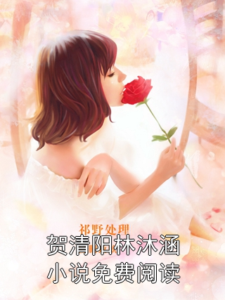 贺清阳林沐涵小说全文阅读_贺清阳林沐涵第13章