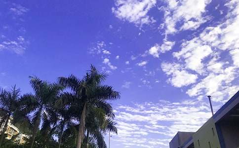 唯美早安文案汇总（精选175句）